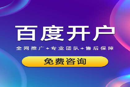 某品牌SEM推广代运营的实践与效果评估
